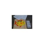 Mamontessoribox puzzle zoologie poisson Mamontessoribox puzzle zoologie poisson