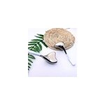 Masseur visage caudale guasha en inox