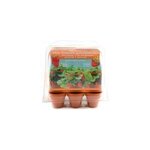 Mini - serre 6 pots fraisier Mini - serre 6 pots fraisier