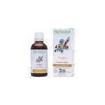Origan 50ml bio