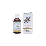 Ortie piquante 50ml bio