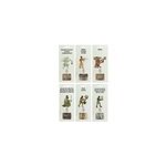 Pack encens naturel - 6 senteurs