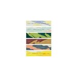 Pack encens scentsual 6 senteurs Pack encens scentsual 6 senteurs