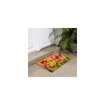 Paillasson rectangulaire 60x40cm multicolore