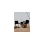 Paire de chaises en métal n°363 Paire de chaises en métal n°363