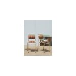 Paire de chaises en mtal n364