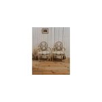 Paire de fauteuils style empire n�800