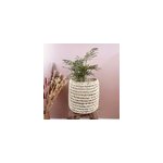 Panier cache - pot en palmier pour toutes