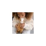 Peluche cheval henri