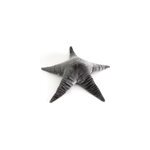 Peluche - grande etoile de mer noire