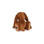 Peluche histoire d'ours marron