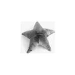 Peluche - petite etoile de mer noire