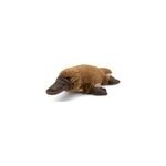 Peluche wwf ornithorynque marron - 22 cm