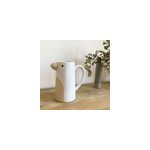 Pichet, carafe ou vase perroquet en