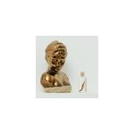 Plante immerg�e foug�re felci ambre h12