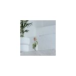 Plante immerg�e foug�re luthi verte h12