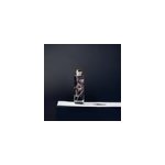 Plante immerg�e gypsophile poudr� h21