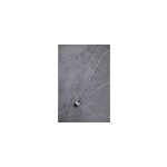 Plaque sur chane sverin en acier 316l