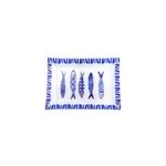 Plat rectangulaire poisson bleu - lot de 6 Plat rectangulaire poisson bleu - lot de 6