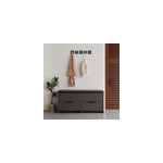 Poli - meuble  chaussures - 4 rangements - noir