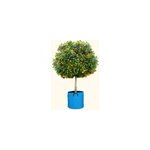 Pot en g�otextile respirant bleu - 50cm