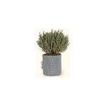 Pot en gotextile respirant gris - 15cm