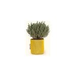 Pot en gotextile respirant jaune - 15cm