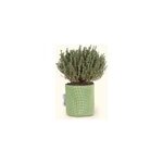 Pot en gotextile respirant vert - 15cm