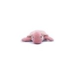 Ptipotos tortue geante rose