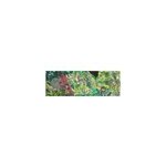Puzzle 1000 pices djeco owls and birds