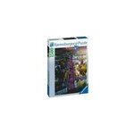 Puzzle 1500 pièces ravensburger bonn en Puzzle 1500 pièces ravensburger bonn en