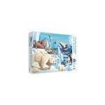 Puzzle glaces