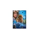 Puzzle harry potter � poudlard 500 pcs