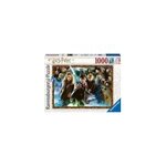 Puzzle harry potter et les sorciers 1000