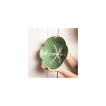 Saladier choux 22 cm