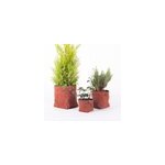 Set de 3 caches pot planter terre cuite