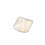 Shell - coupelle carr�e en nacre avec un liser� argent sur le bord