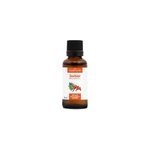 Sorbier bio - 30ml (sorbus domestica) mac�rat concentr� de bourgeons frais