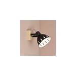 Spot patre orientable