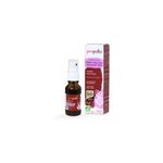 Spray buccal fraîcheur bio Spray buccal fraîcheur bio