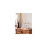 Suzette, la paire d'appliques n�17