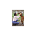 Sweat yoga h�ron rose p�tale