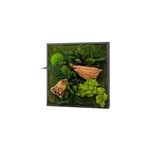 Tableau vgtal canopee carr 35 x 35 cm