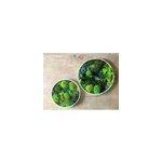Tableau végétal naturel rond en mousse stabilisée - lot de 2 - canopé Tableau végétal naturel rond en mousse stabilisée - lot de 2 - canopé