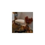 Tabouret rond  roulettes - blanc