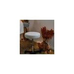 Tabouret rond  roulettes - blanc