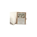Taie d'oreiller en coton bio - 40x60 cm
