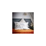 Taie d'oreiller en soie 19 mommes 50x70