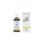 Teinture m�re d'absinthe bio - digestion et transit