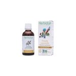 Teinture m�re de grande camomille bio - troubles menstruels et digestion